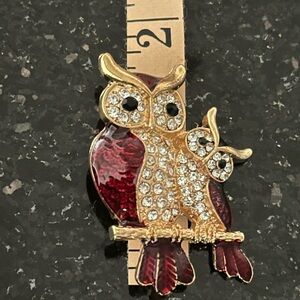 New Kenneth Lane owl 🦉 mother and baby brooch